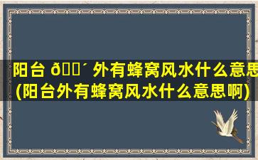 阳台 🌴 外有蜂窝风水什么意思(阳台外有蜂窝风水什么意思啊)